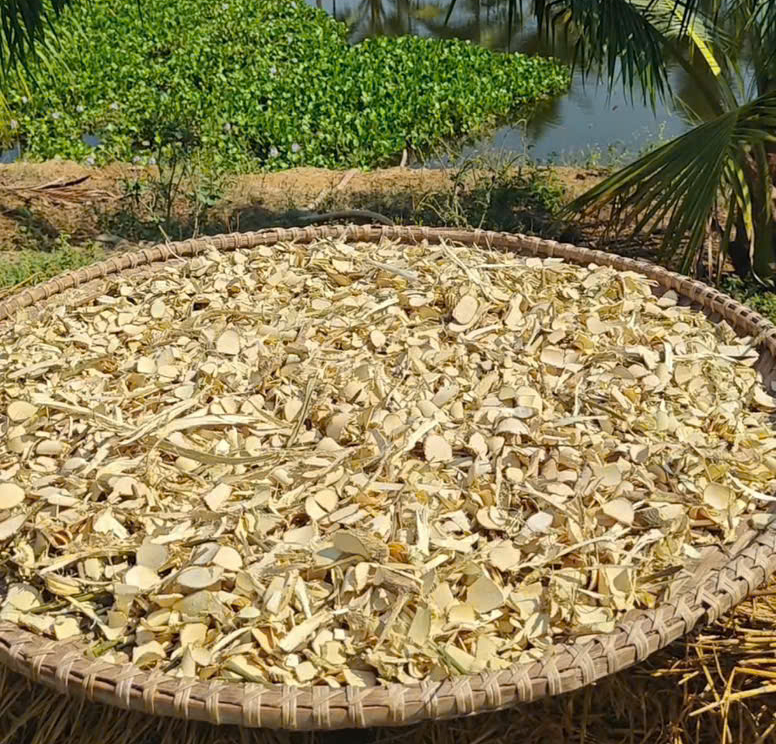 Dược liệu Xáo Tam Phân